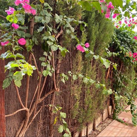Arruzafa Home 科爾多瓦 外观 照片