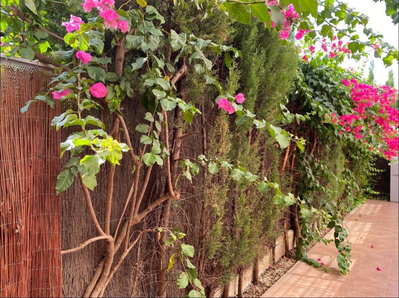 Arruzafa Home 科爾多瓦 外观 照片